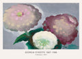 Reproduction print of Georgia O'Keeffe's 1921 oil painting "3 Zinnias," showing large pink, maroon, and white flowers with thick, textured brushstrokes against a gray background.