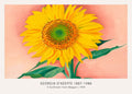 Reproduction print of Georgia O'Keeffe's "A Sunflower from Maggie" (1939), featuring a monumental yellow sunflower against a soft pink background.