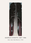 Georgia O'Keeffe's vertical oil painting, Bear Lake (1930), depicting a luminous white central tree trunk between dark cypress trees under a starlit night.