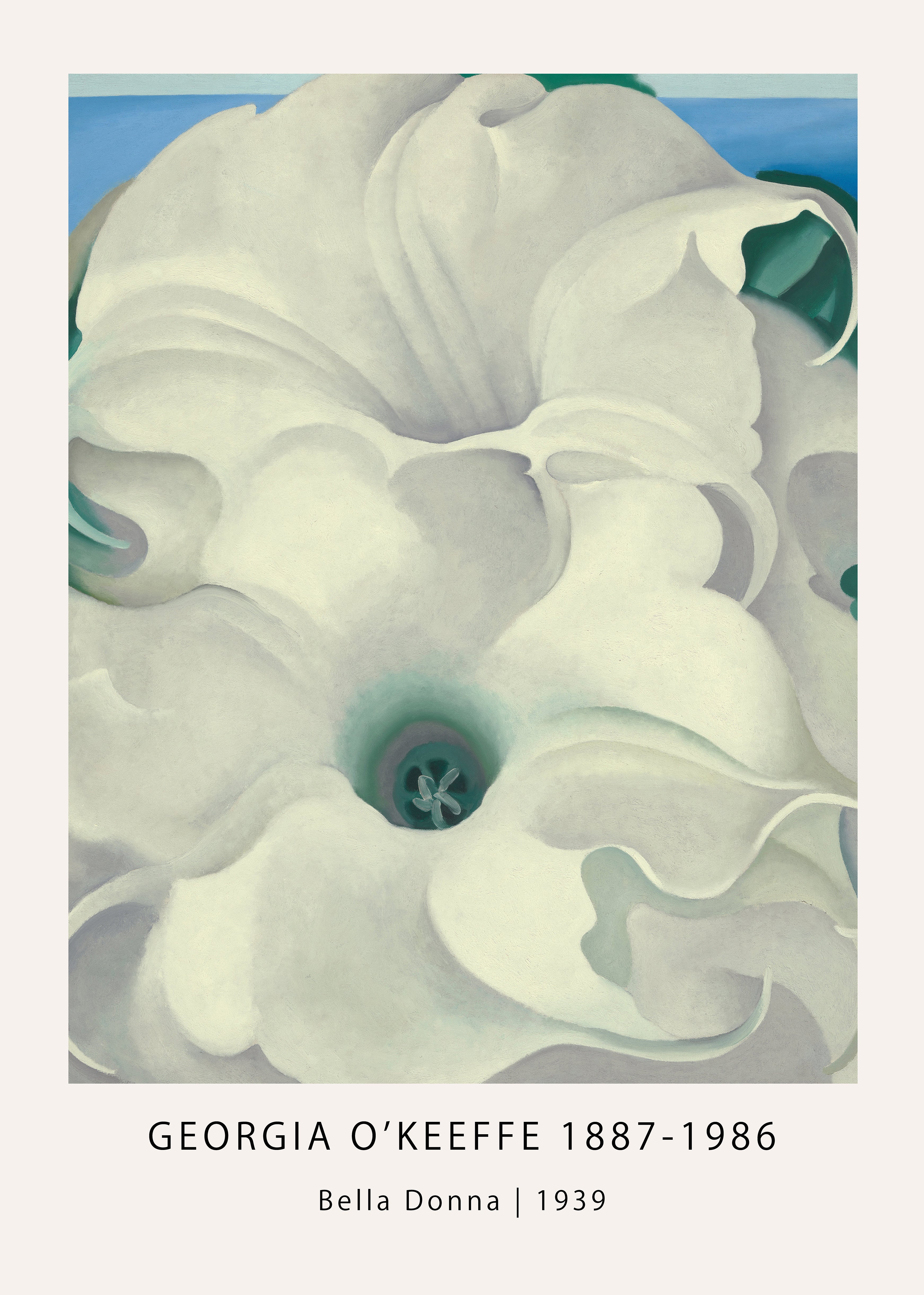 High-quality reproduction of Georgia O'Keeffe's 1939 painting Bella Donna, featuring a dramatically magnified white flower close-up.