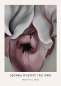 Close-up reproduction of Georgia O'Keeffe's 1936 painting "Black Iris," featuring magnified, flowing petals in shades of mauve, gray, and deep maroon.