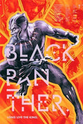 Dynamic Black Panther superhero artwork by Martin Ansin with vibrant orange background and characters