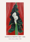 Reproduction of Georgia O'Keeffe's 1928 painting "Calla Lilies on Red," featuring two magnified white blossoms against deep red and dark green foliage.