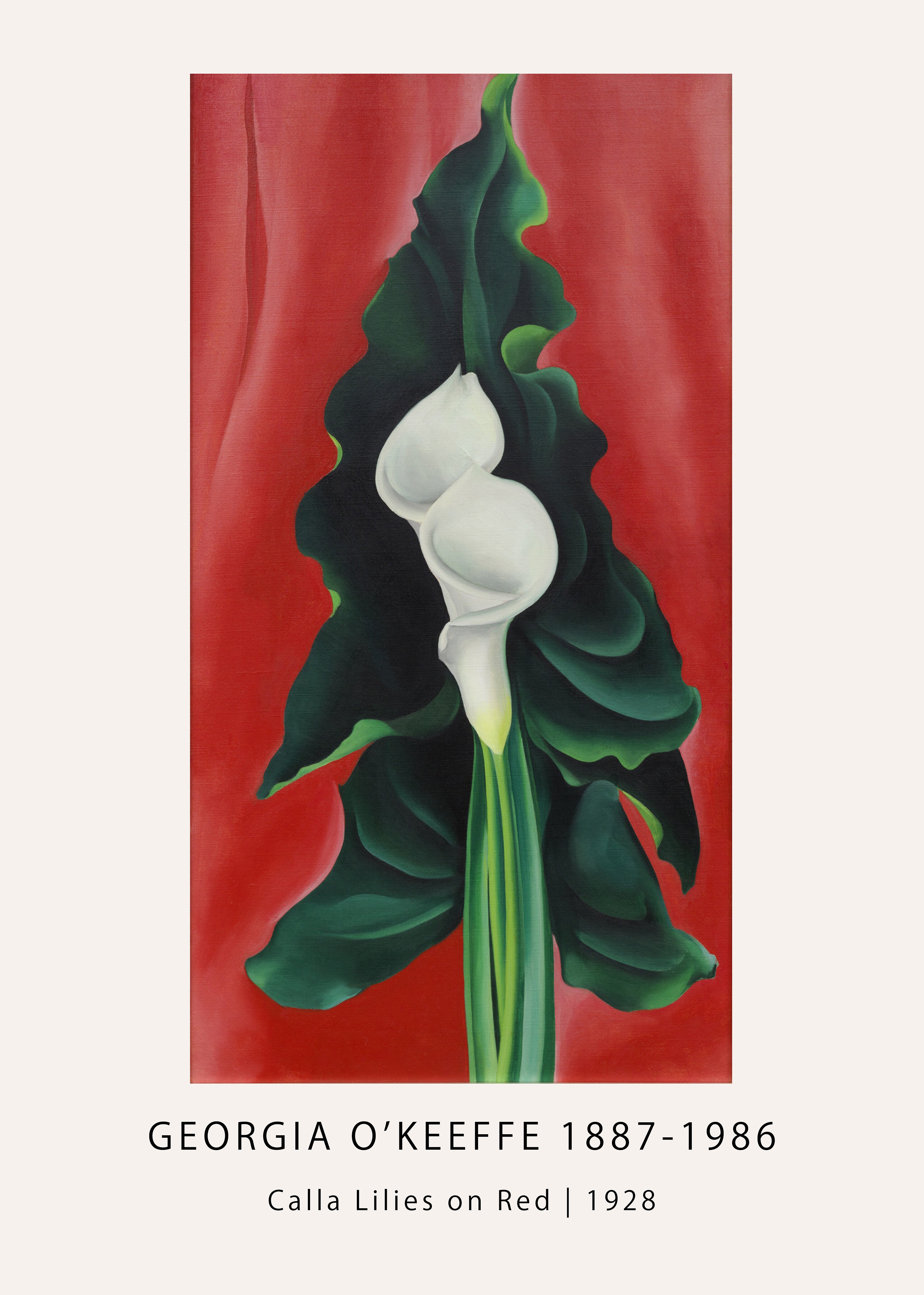 Reproduction of Georgia O'Keeffe's 1928 painting "Calla Lilies on Red," featuring two magnified white blossoms against deep red and dark green foliage.