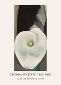 High-quality reproduction of Georgia O'Keeffe's painting Calla Lily for Alfred (1927), depicting a magnified white flower against a dark, abstract background.
