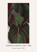 Georgia O'Keeffe's 1925 painting "Canna Leaves" featuring a close-up, vertical view of deep green and burgundy botanical forms.