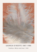 Close-up print of Georgia O'Keeffe's 1942 painting "Feathers, White and Grey," featuring soft grey forms against a warm terracotta background.
