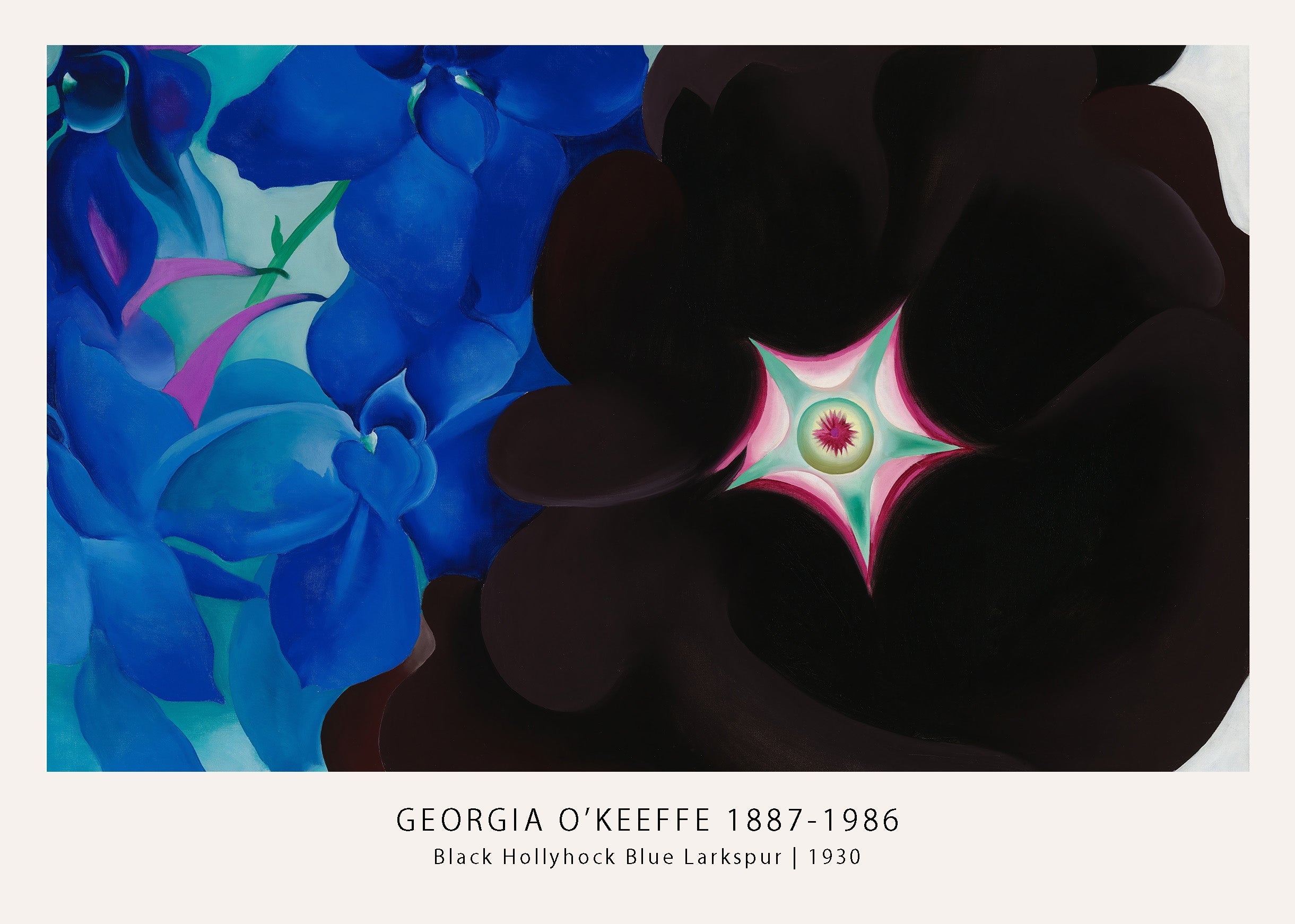 Georgia O'Keeffe abstract painting featuring intense blue larkspur petals juxtaposed against the deep black of a hollyhock blossom.