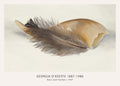 Abstract oil painting by Georgia O'Keeffe depicting a brown feather and a light tan organic form, emphasizing natural texture and pale background.