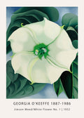Reproduction of Georgia O'Keeffe's 1932 painting, "Jimson Weed," featuring a monumental white flower against dark green leaves and a blue background.