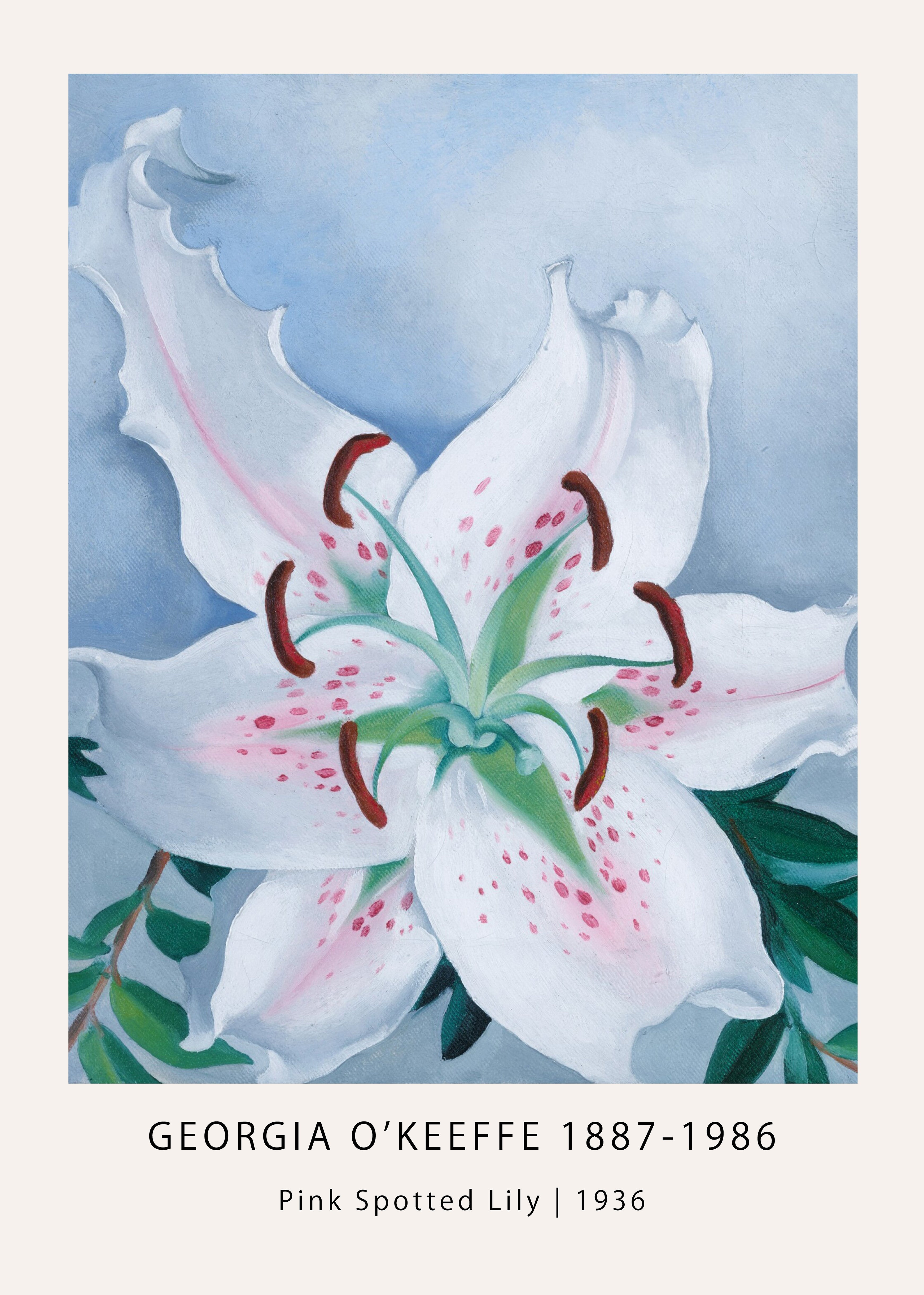 Close-up reproduction of Georgia O'Keeffe's 1936 painting, "Pink Spotted Lily," highlighting white and pink spotted petals against a blue background.