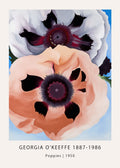 Reproduction poster of Georgia O'Keeffe's 1950 painting Poppies, showing the zoomed-in texture of two large abstract flowers, one white and one peach.