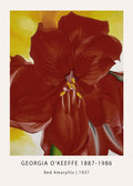 Georgia O'Keeffe painting, "Red Amaryllis," featuring magnified deep red petals against a vibrant yellow background, modernist fine art reproduction.