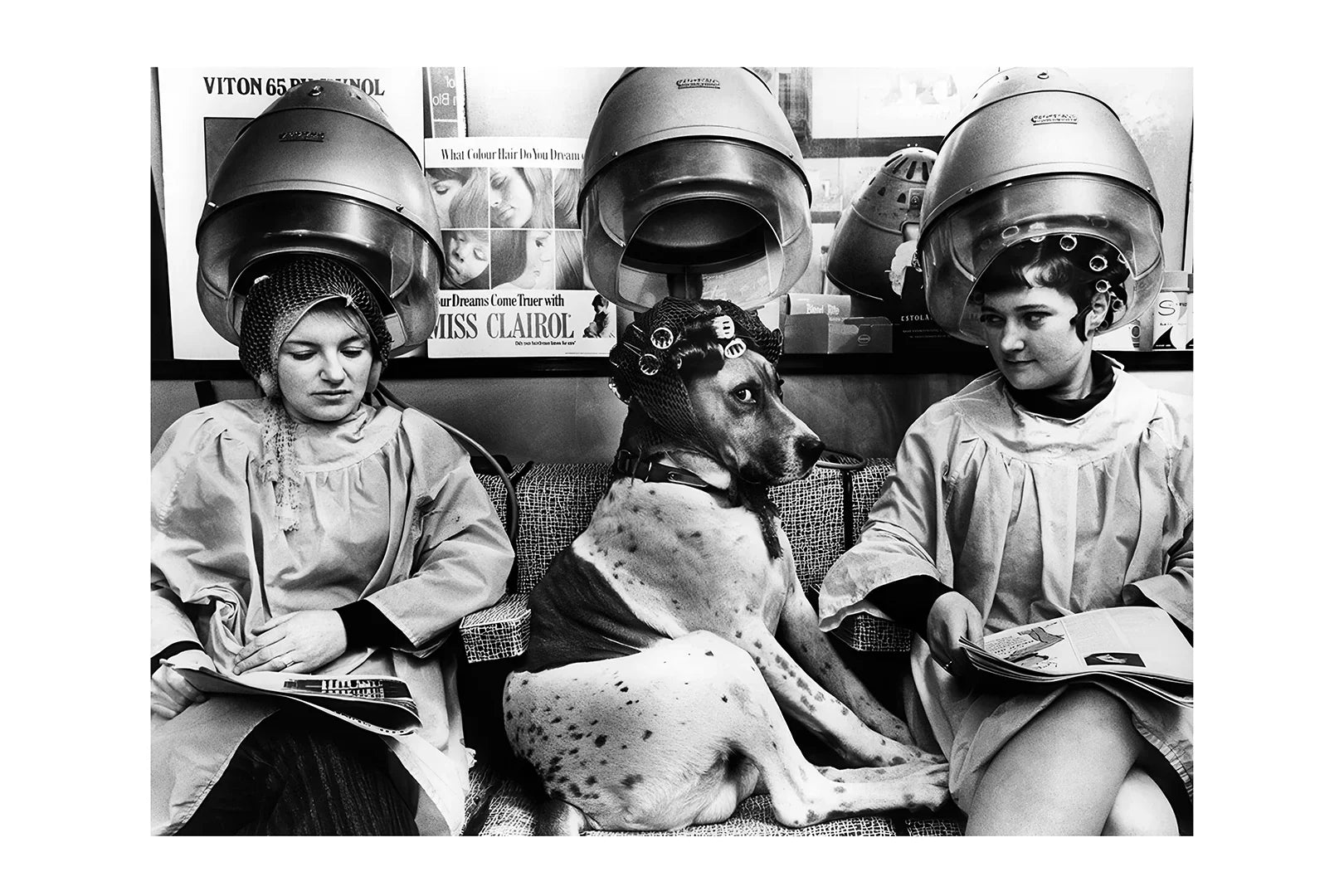 Black and white photo of two women and a dog under vintage salon hair dryers in a hair salon