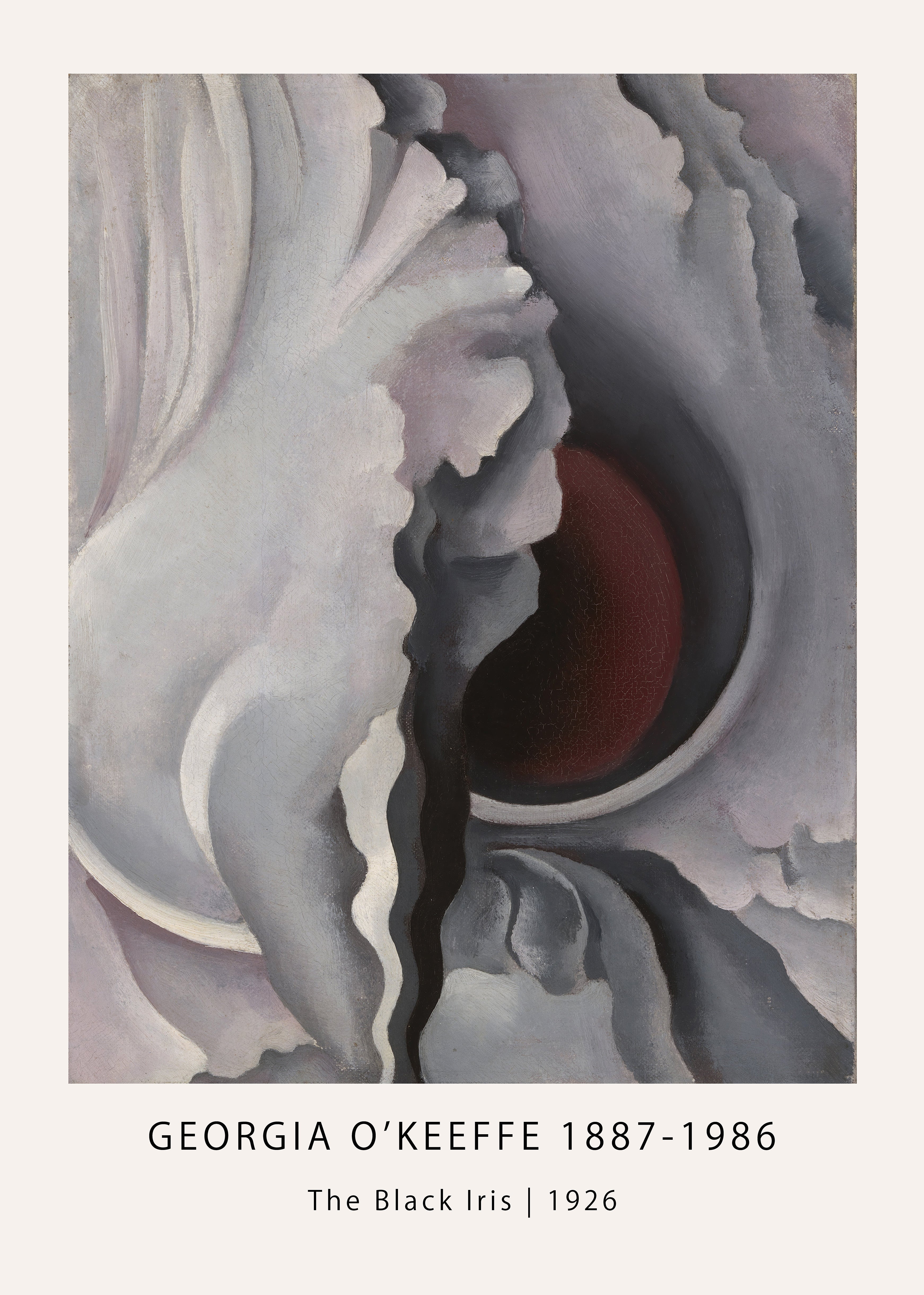 Close-up print reproduction of Georgia O'Keeffe's 1926 oil painting showing large, magnified white and gray iris petals surrounding a dark, deep maroon center.