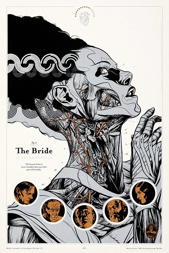 Anatomical illustration of the Bride of Frankenstein showing muscles and veins with inset portraits from the film