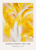 Abstract expressionist painting "White Birch" by Georgia O’Keeffe, featuring smooth white birch trunks set against vibrant yellow and soft pink foliage.