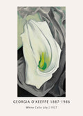 Georgia O'Keeffe's close-up oil painting of a monumental white calla lily with a bright yellow and green center, framed by deep gray and black folds.