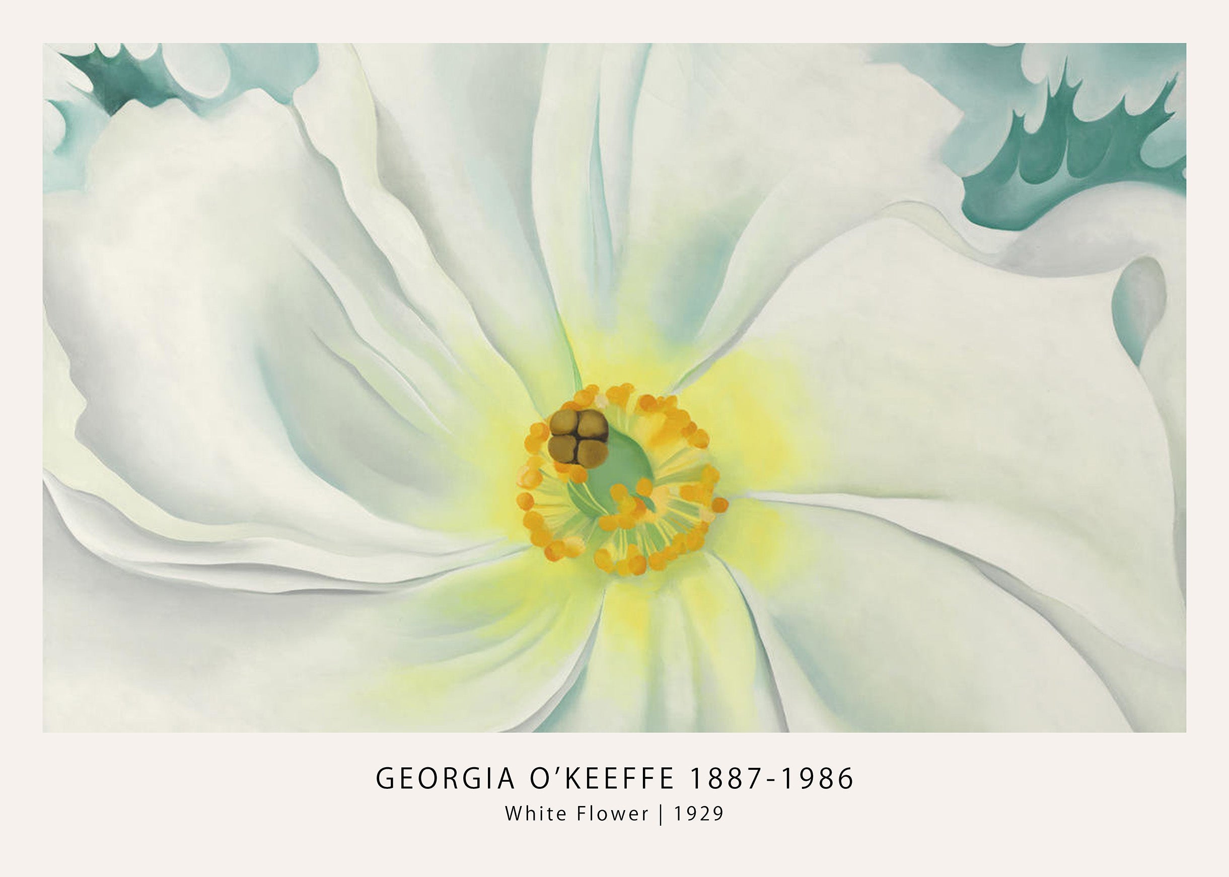 Georgia O'Keeffe's White Flower painting, showing a magnified, close-up view of soft white petals and a bright yellow center.