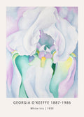 Georgia O'Keeffe's "White Iris" painting print featuring monumental white petals, softened by pastel pink, mint green, and yellow accents.
