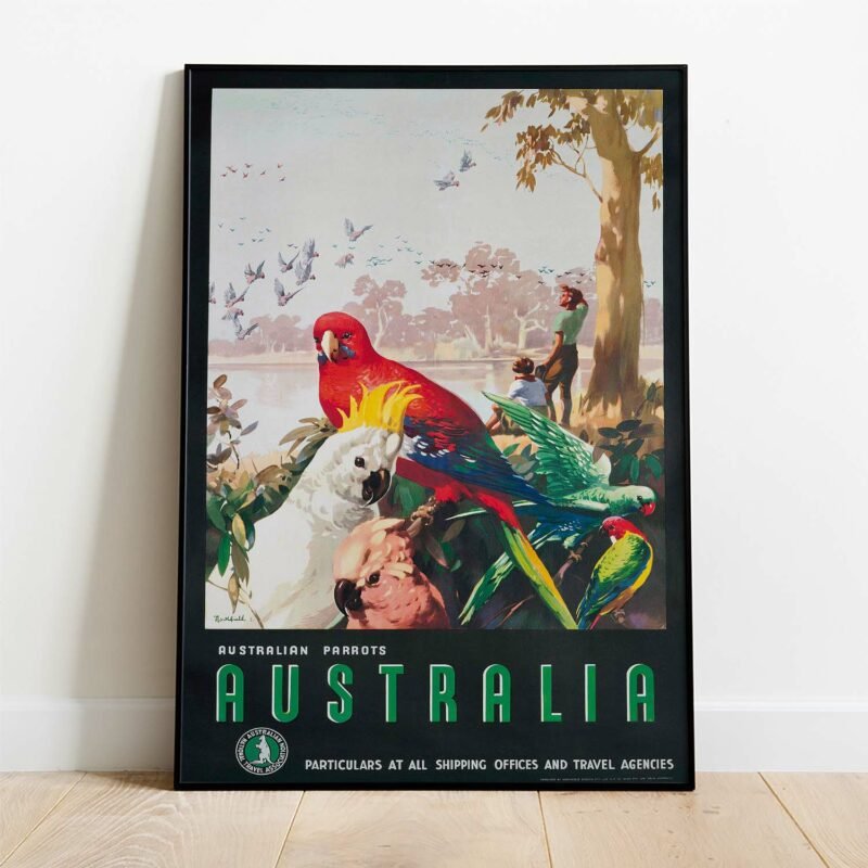 Australian Parrots by James Northfield Posters