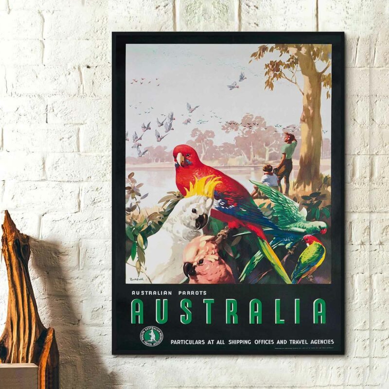 Australian Parrots by James Northfield Poster